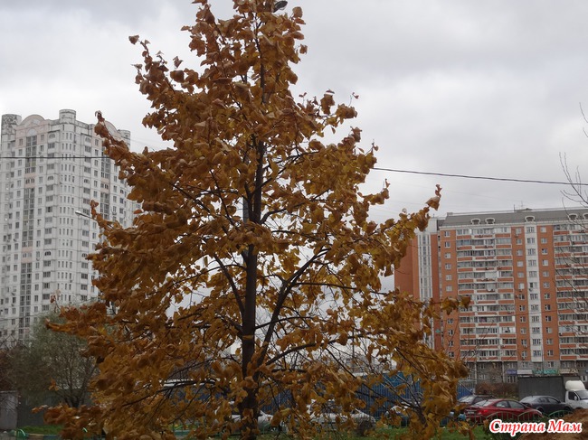 Моя Москва осенью