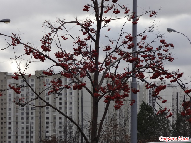 Моя Москва осенью