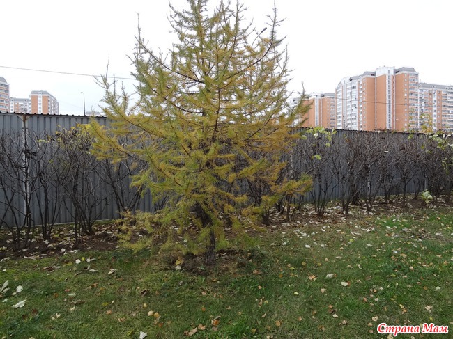 Моя Москва осенью