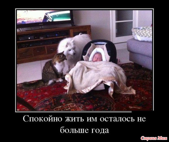 РжачЪ