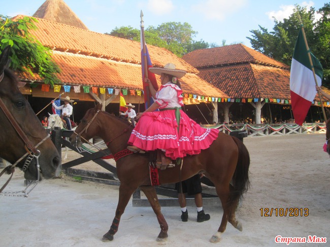 Сбылась мечта идиотки-3