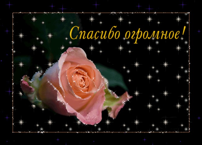 Один большой хваст по куче закупок (мыло/сушка/чай, демар/транго, носки/ткань)
