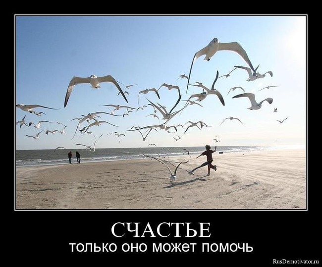 А вы из каких?.. Не упустите счастье.