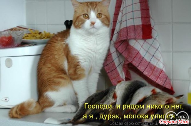  !