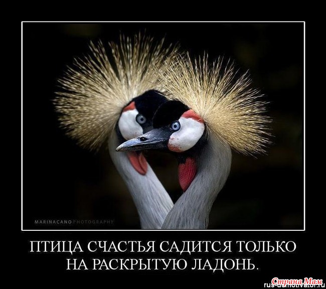 А вы из каких?.. Не упустите счастье.