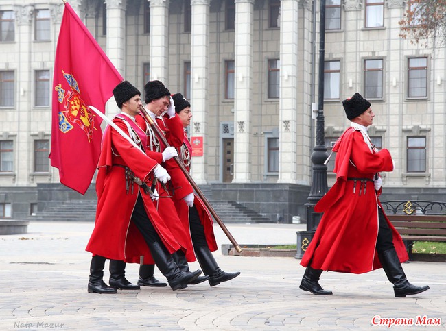 Кубанские казаки