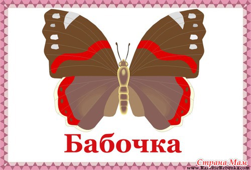 Карточки -насекомые