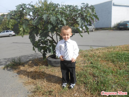 Понятие двухлетнего