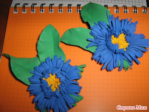 Розы и астры из ФОМА
