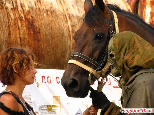 Жесть (2006)