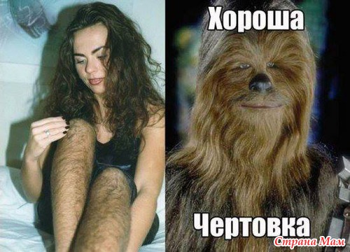 РжачЪ