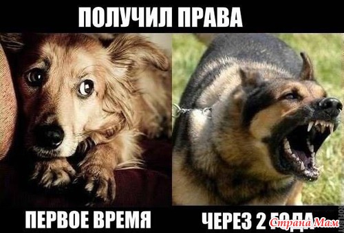 РжачЪ