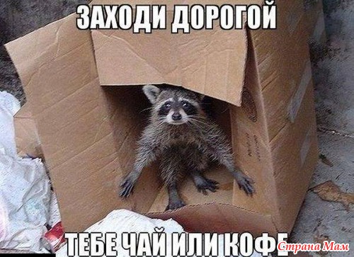РжачЪ