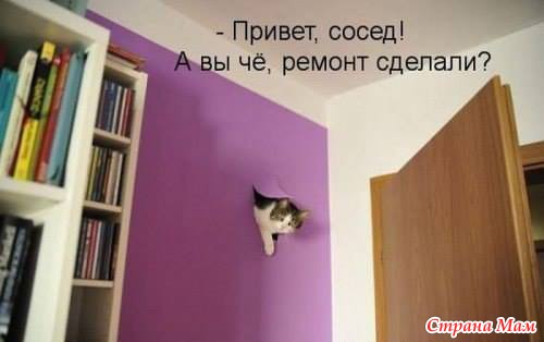 РжачЪ