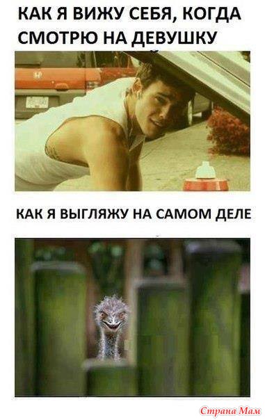 РжачЪ