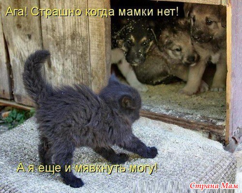 РжачЪ