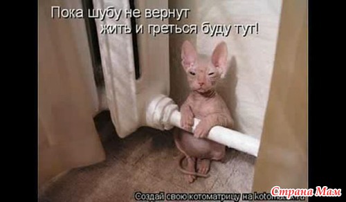  !