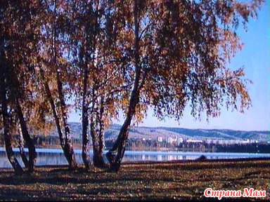 Мой Город-мой Дом Родной