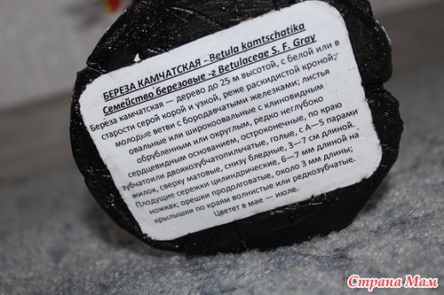 Проба )))