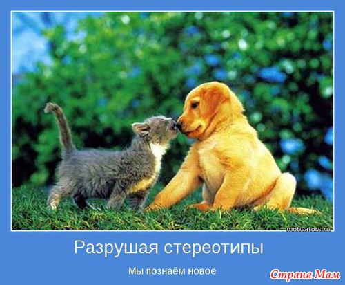 Что такое "красота"? Это дом, где три кота! Что такое "пустота"? Это дом, где нет кота...