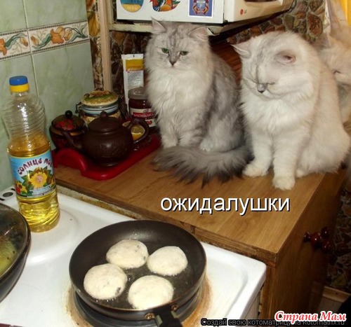 Что такое "красота"? Это дом, где три кота! Что такое "пустота"? Это дом, где нет кота...