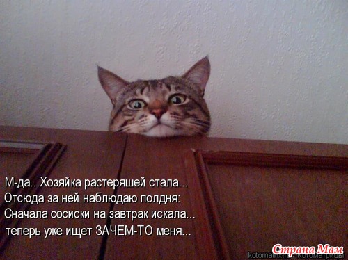 Что такое "красота"? Это дом, где три кота! Что такое "пустота"? Это дом, где нет кота...