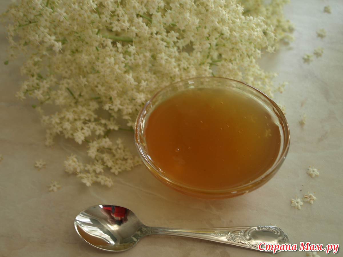 Мед с бузины рецепт с фото пошагово