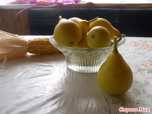 Вот и мои декоративные тыковки!