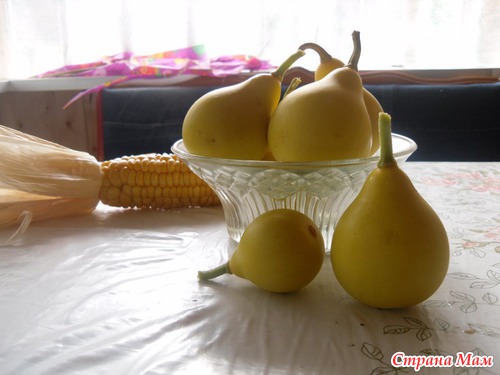 Вот и мои декоративные тыковки!