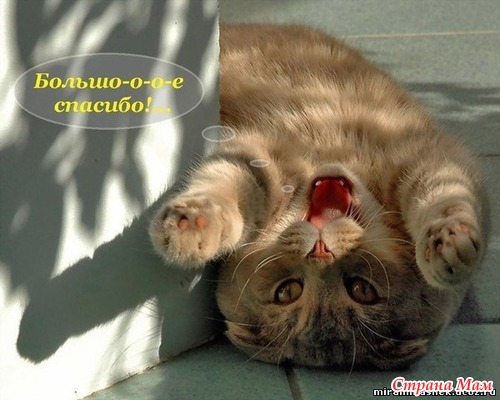 Подарок по *Калейдоскоп твоих желаний № 2*