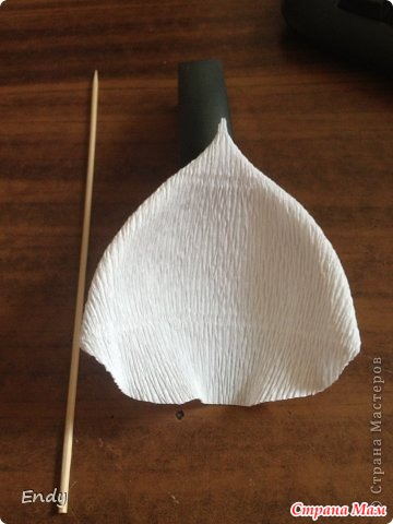 ����� �� ������ � ������������� ������