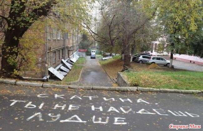Просто картинки и ничего более. добавила