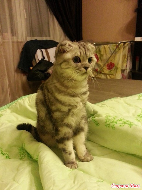 Лизка)