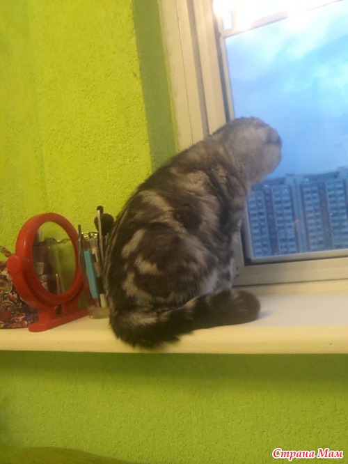 Лизка)