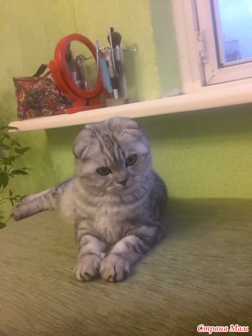 Лизка)
