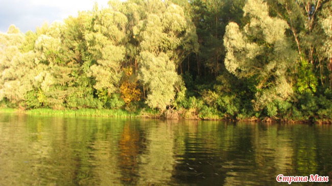 Рыбалка