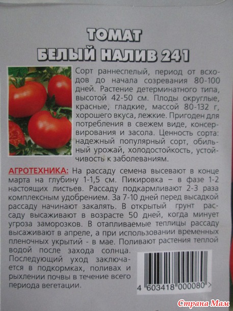 Томаты ранние. Рассада.