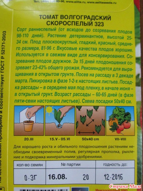 Томаты ранние. Рассада.