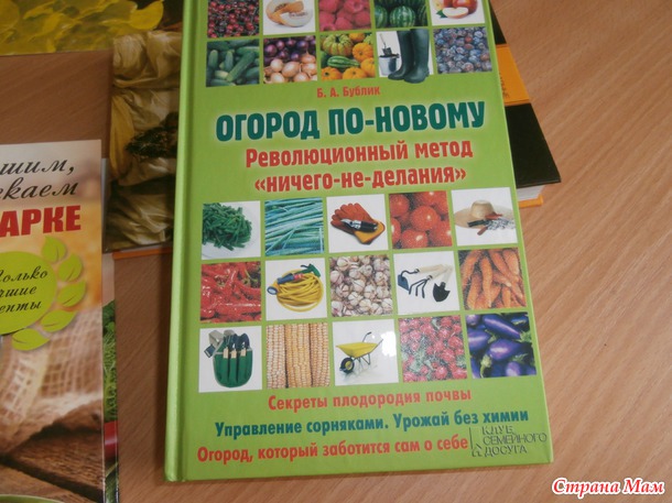 ОГОРОД ПО НОВОМУ БУБЛИК СКАЧАТЬ БЕСПЛАТНО ОГОРОД ПО НОВОМУ БУБЛИК СКАЧАТЬ БЕСПЛАТНО