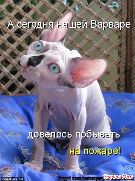  !