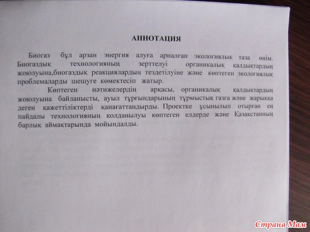Пятнадцатый год