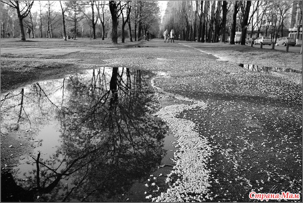 ГОЛОСОВАНИЕ (для участников конкурса)! Конкурс уличной фотографии "Весенние городские зарисовки"