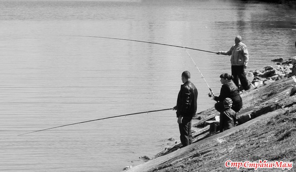 ГОЛОСОВАНИЕ (для участников конкурса)! Конкурс уличной фотографии "Весенние городские зарисовки"