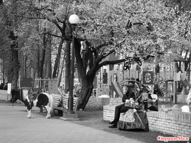 ГОЛОСОВАНИЕ (для участников конкурса)! Конкурс уличной фотографии "Весенние городские зарисовки"