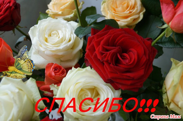 Пасхальные подарки прибыли!