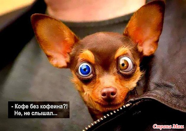 Кофе необходим женскому организму.