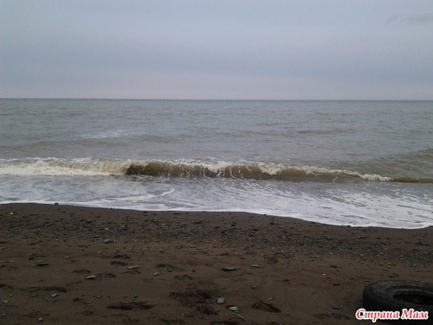 Охотское море (залив Терпения).