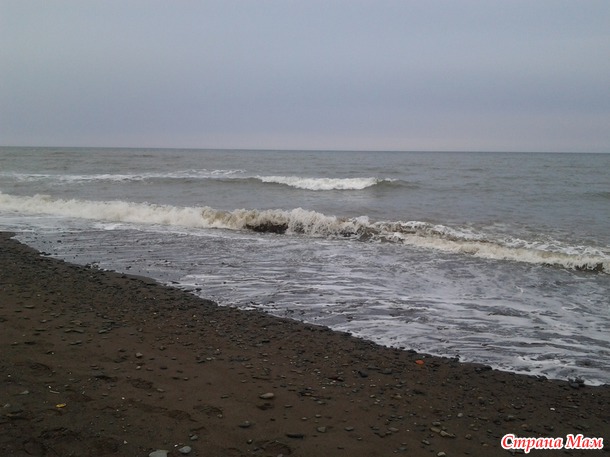 Охотское море (залив Терпения).