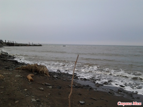 Охотское море (залив Терпения).
