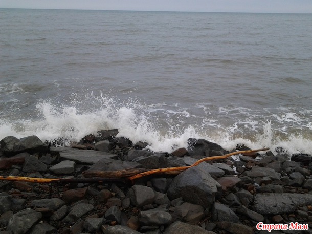 Охотское море (залив Терпения).